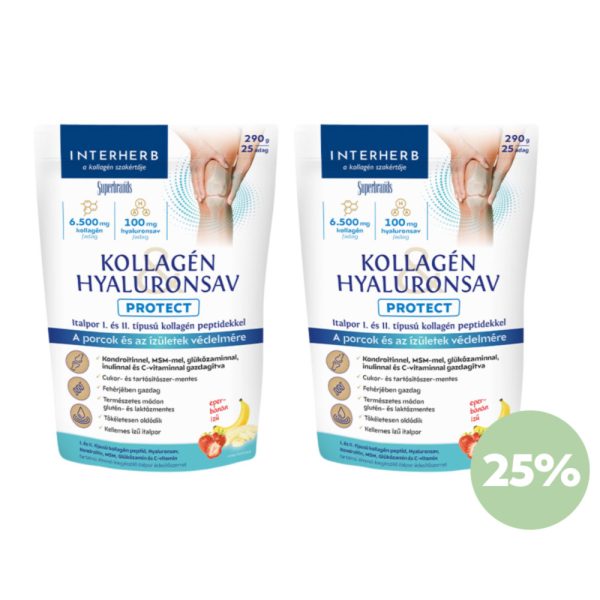 Interherb Kollagén&Hyaluronsav italpor PROTECT 2X290g